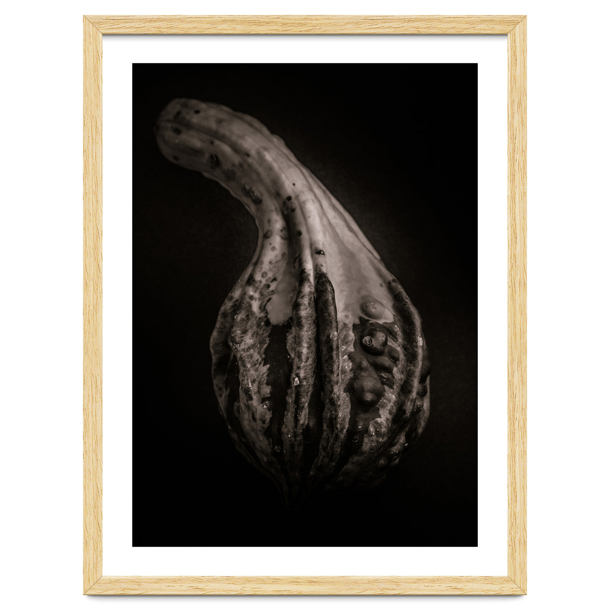 Gourds No 2
