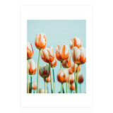 Estelle (Print Only) thumbnail