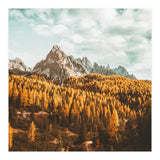 Let's Get Lost (Print Only) thumbnail