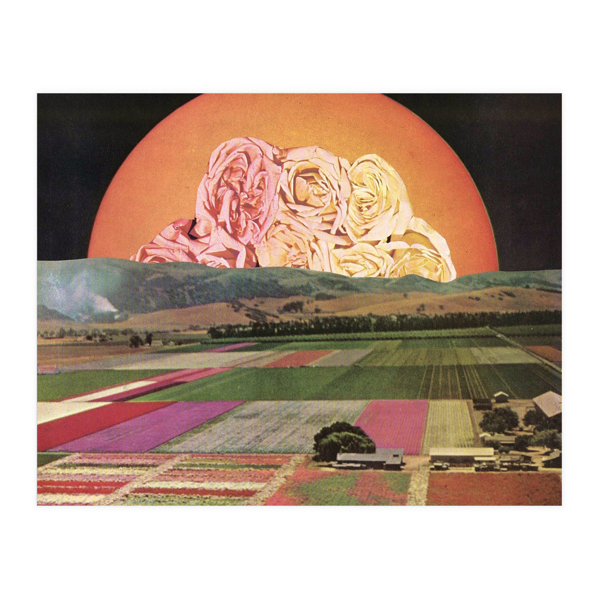 Untitled (Print Only)