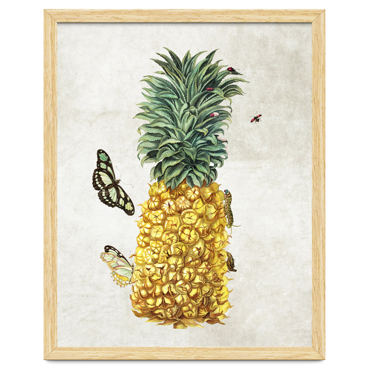 ananas
