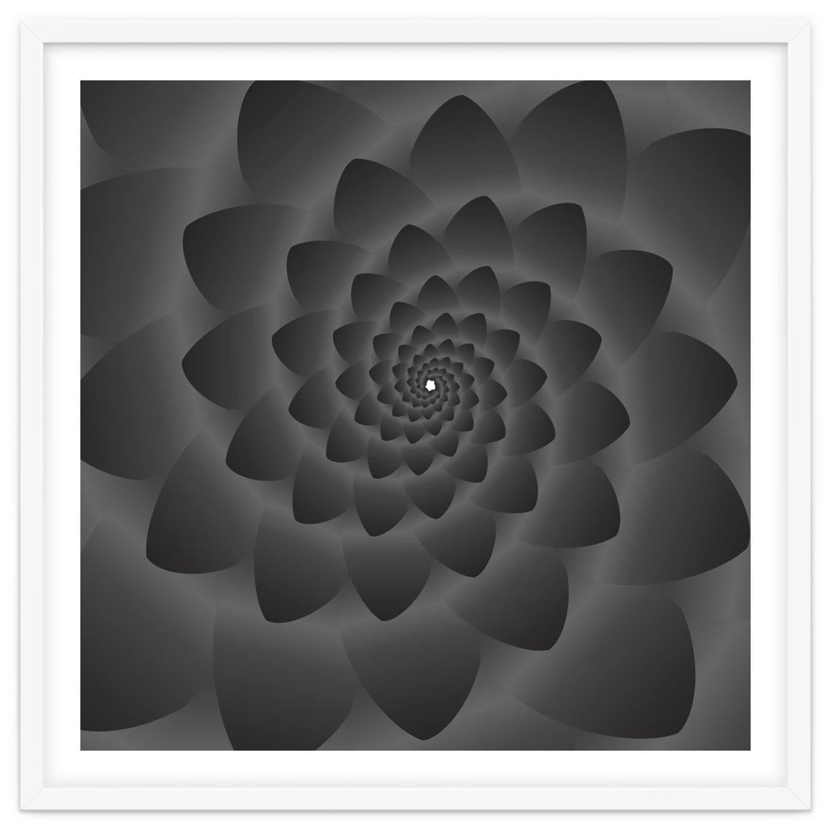 3 D Modern Black Floral