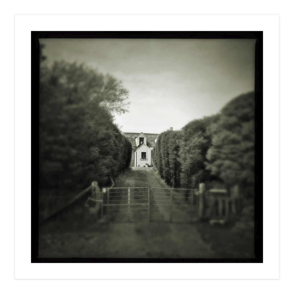 Waterstein 3 (Print Only)