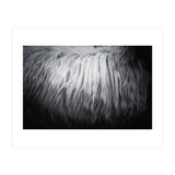 hair (Print Only) thumbnail
