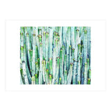 Lost Cactus (Print Only) thumbnail