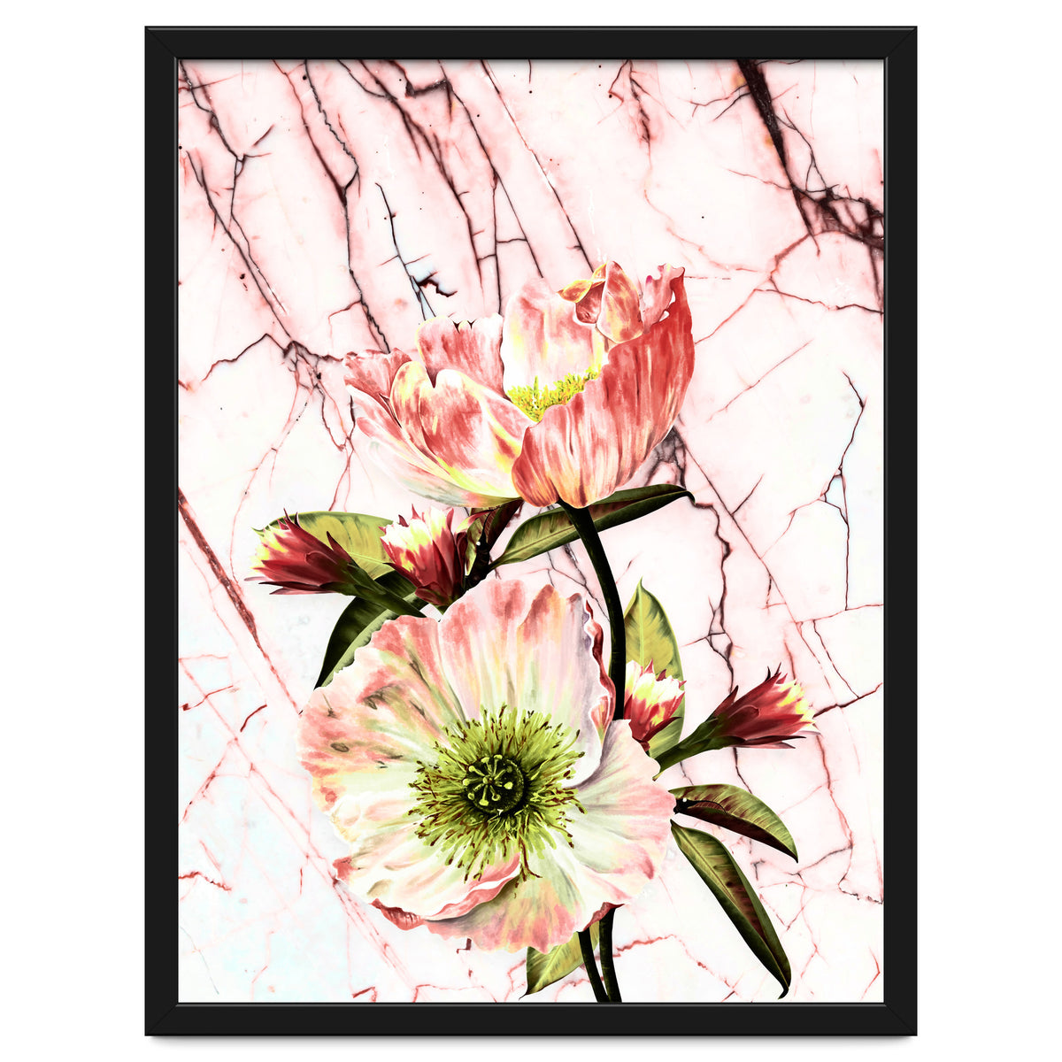 Flowering on pink marble