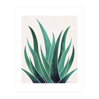 Desert Agave (Print Only)