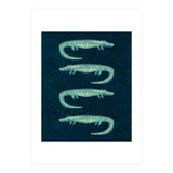Alligators in the Dark (Print Only) thumbnail