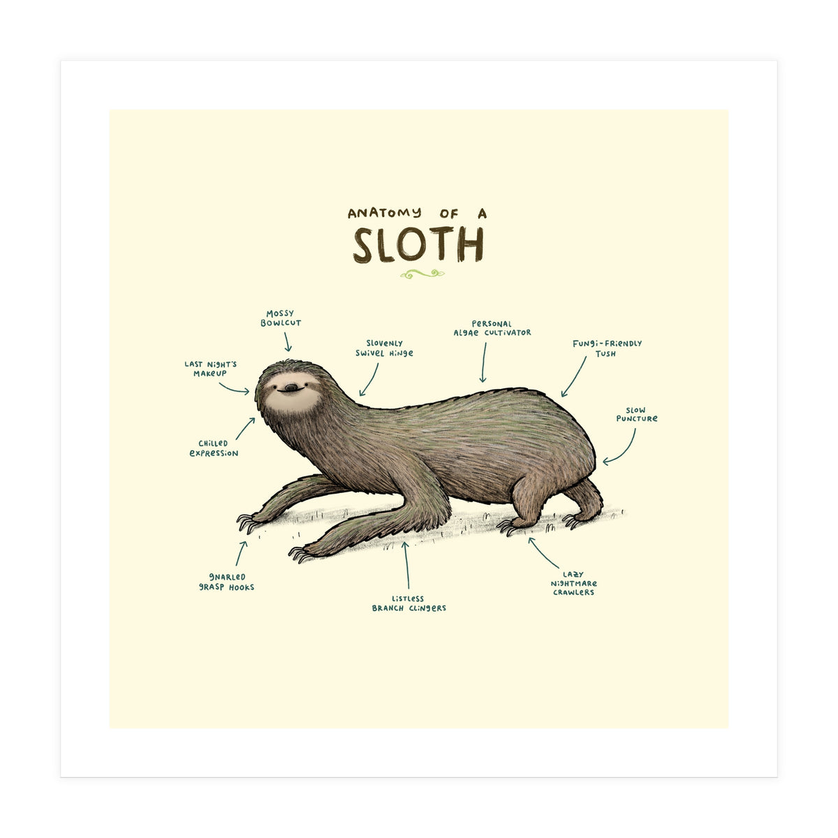 Anatomy Of A Sloth (Print Only)