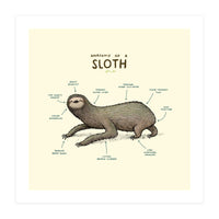 Anatomy Of A Sloth (Print Only)