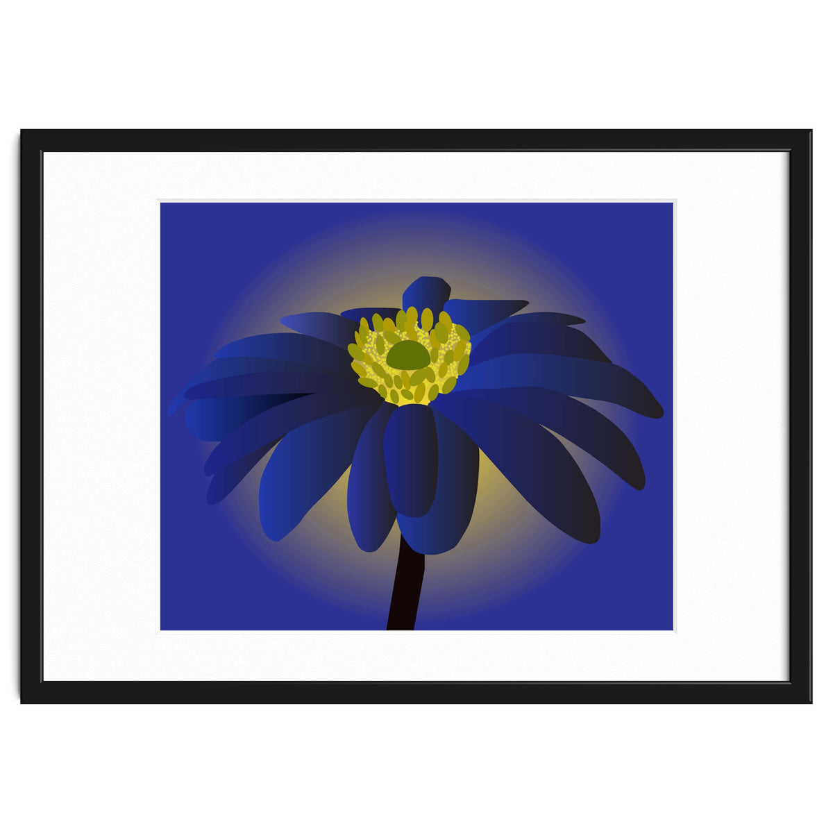 Anemone Blanda Flower Art