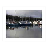 Fleet (Print Only) thumbnail