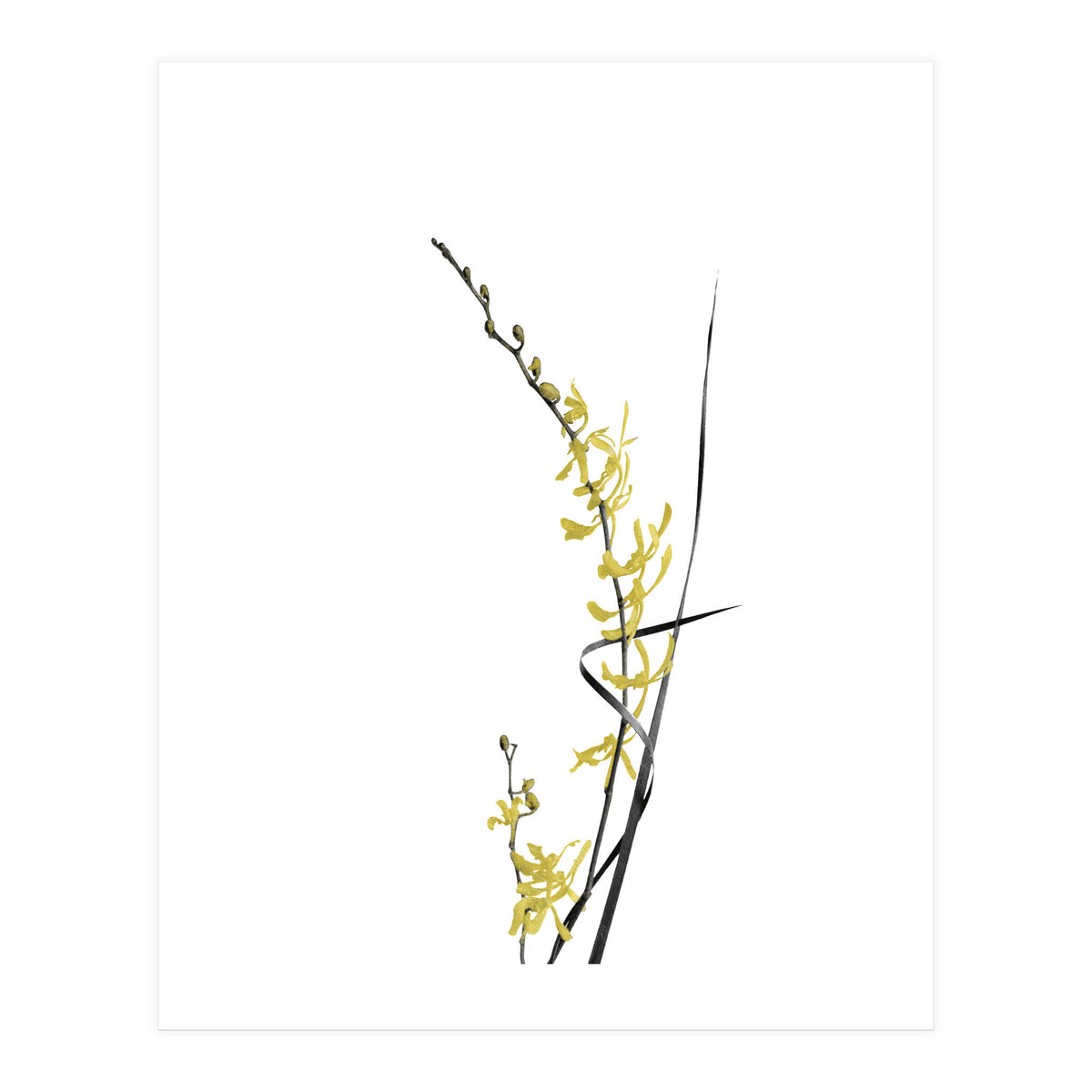 Flower Minimal Black And Gold 06 (Print Only)