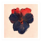 Blue Pansy (Print Only) thumbnail