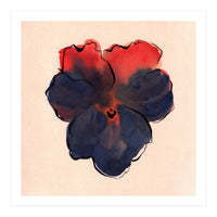 Blue Pansy (Print Only)