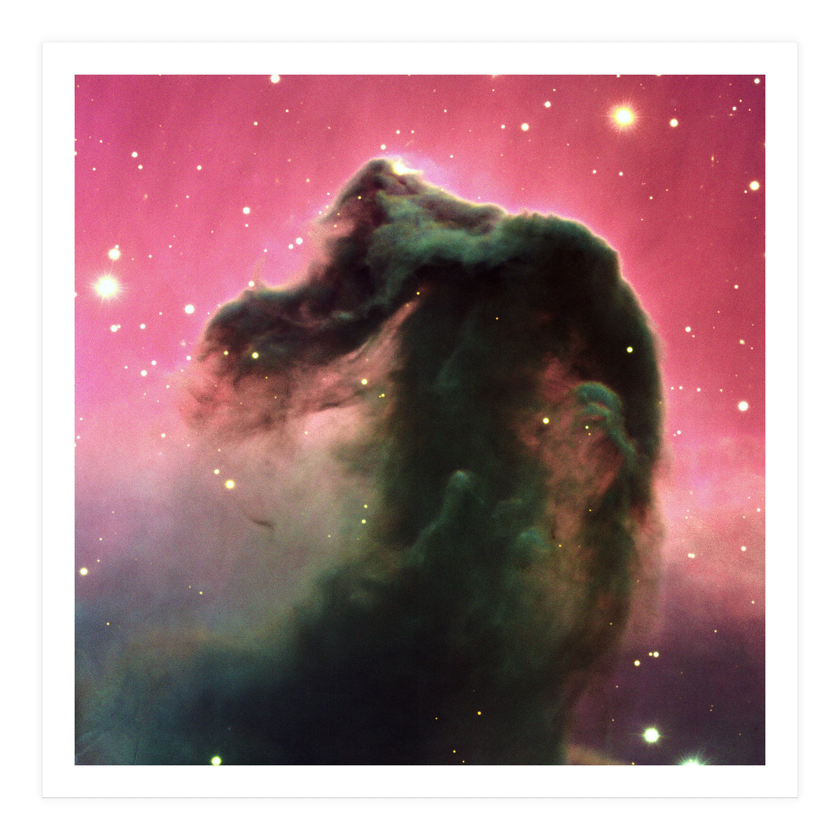 The Horsehead Nebula (Print Only)
