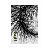 Mad Mind 4 (Print Only) thumbnail