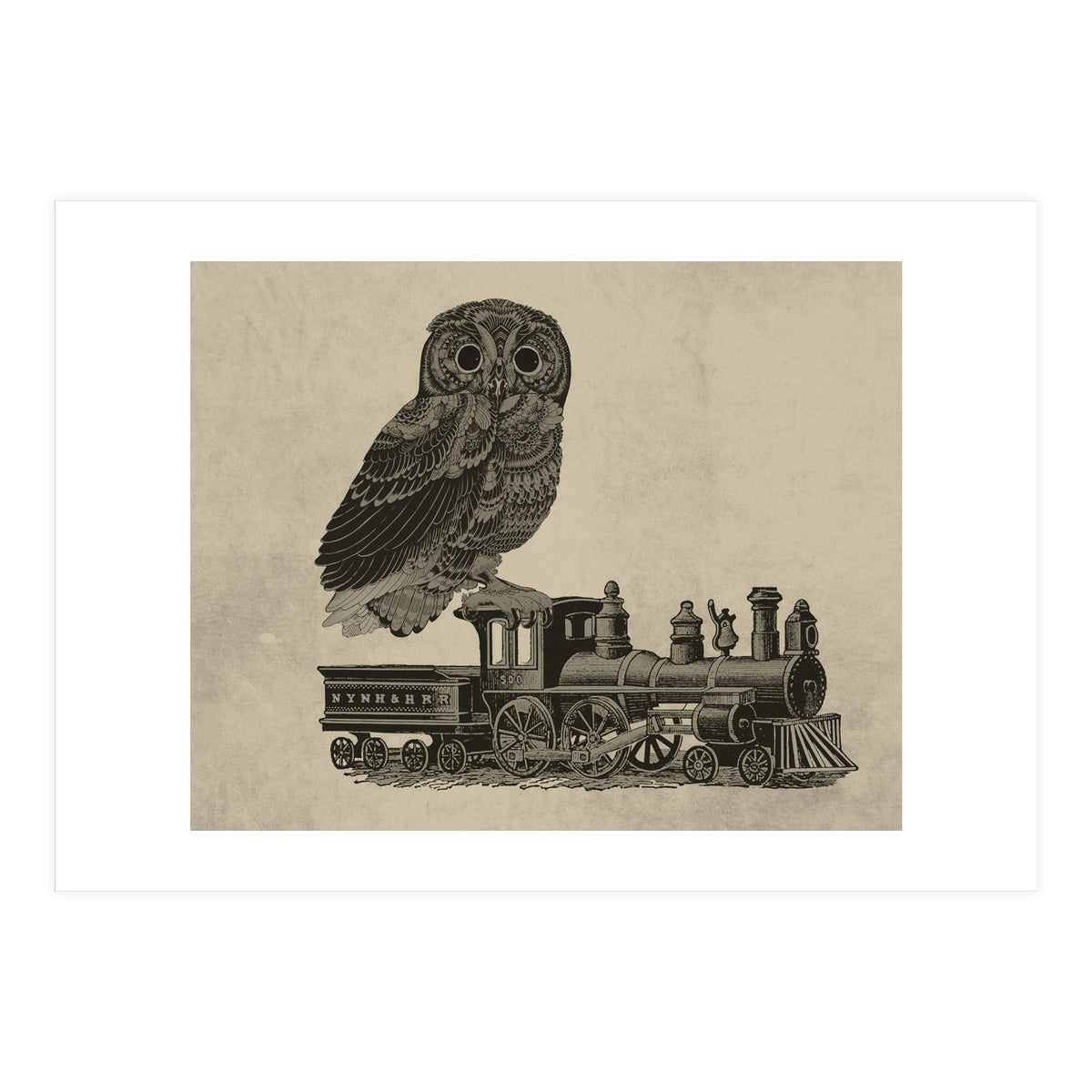 civetta (Print Only)