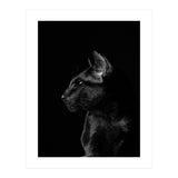 Black Cat (Print Only) thumbnail