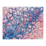 Coral Sea (Print Only) thumbnail