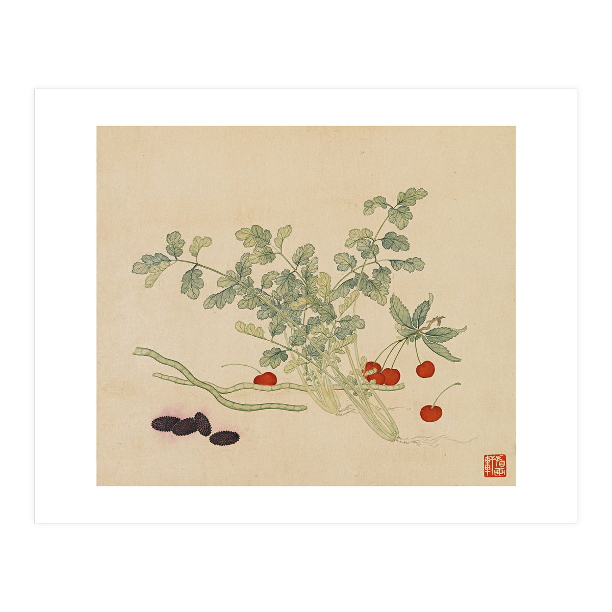 Wang Chengyu~flowers And Vegetables, Vegetables, Fruits, Beans, Red Beans, Cherries, Celery (Print Only)