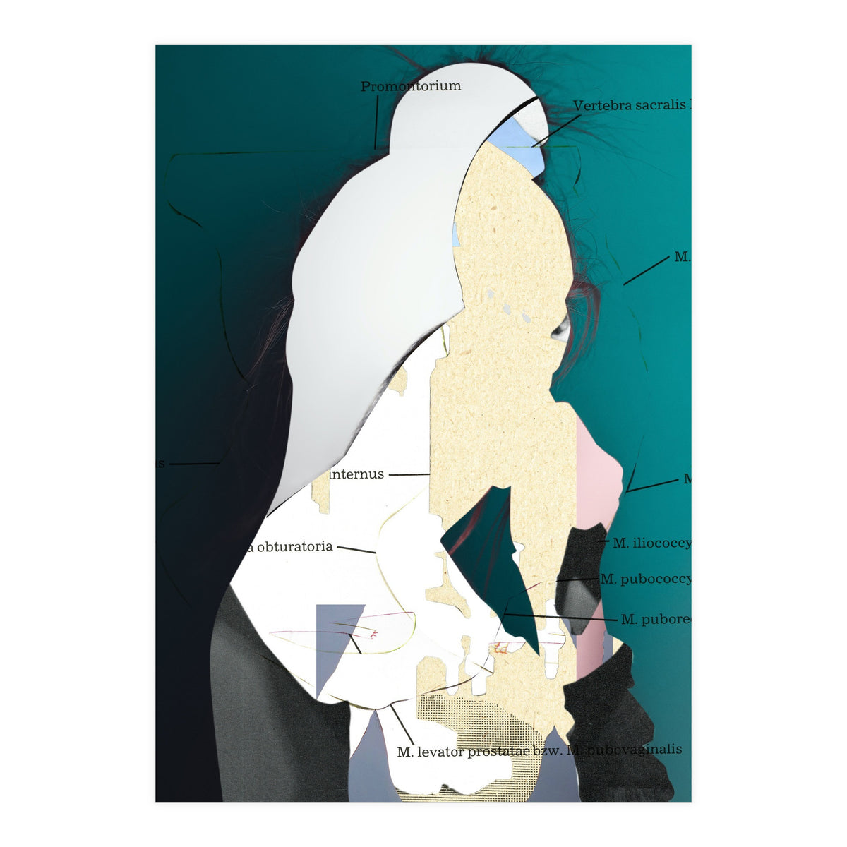 Position Task (Print Only)