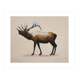 The Rocky Mountain Elk (Print Only) thumbnail