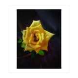 Yellow Flora (Print Only) thumbnail