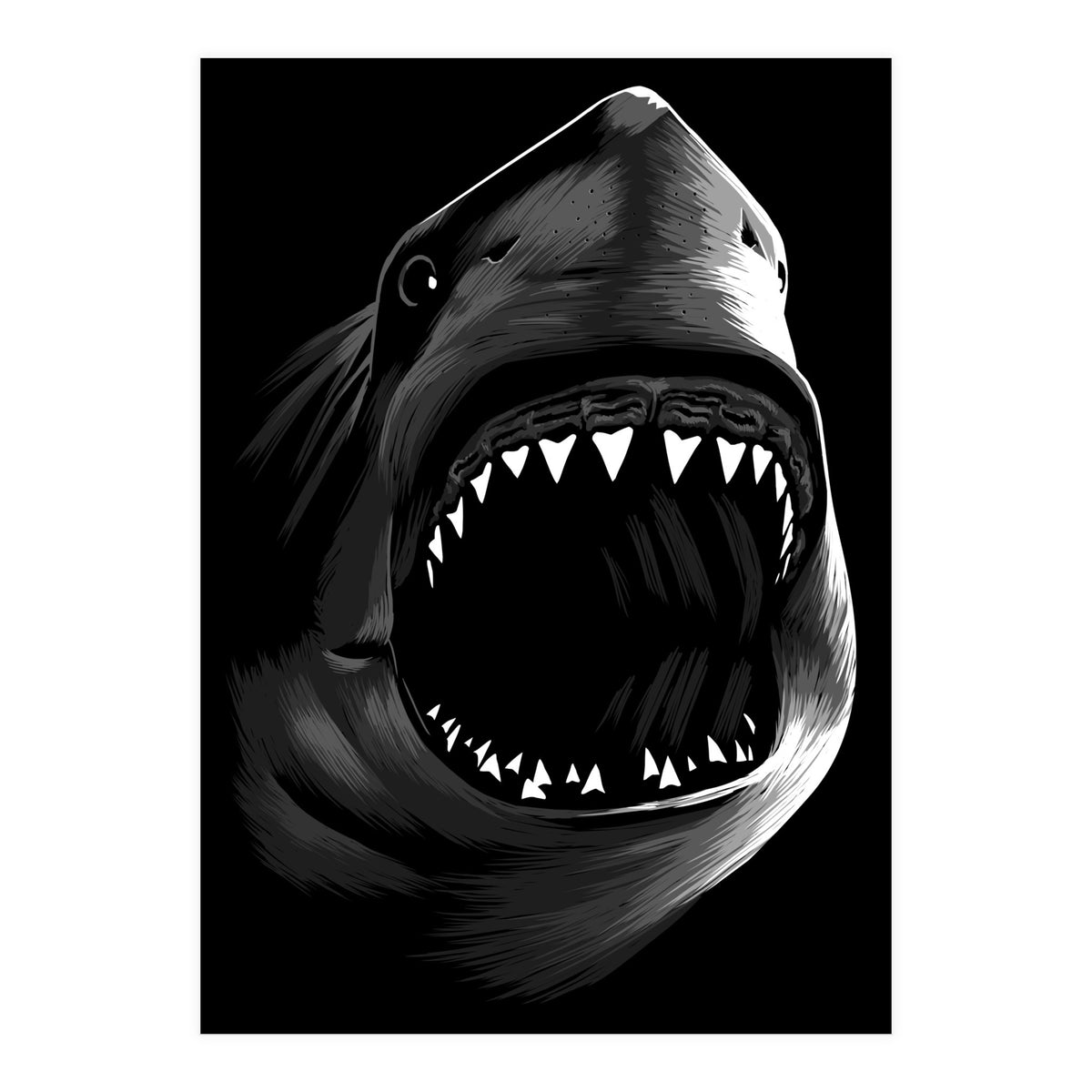 Great Shark White (Print Only)