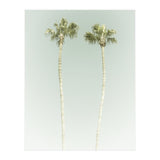 Vintage Palm Trees  (Print Only) thumbnail