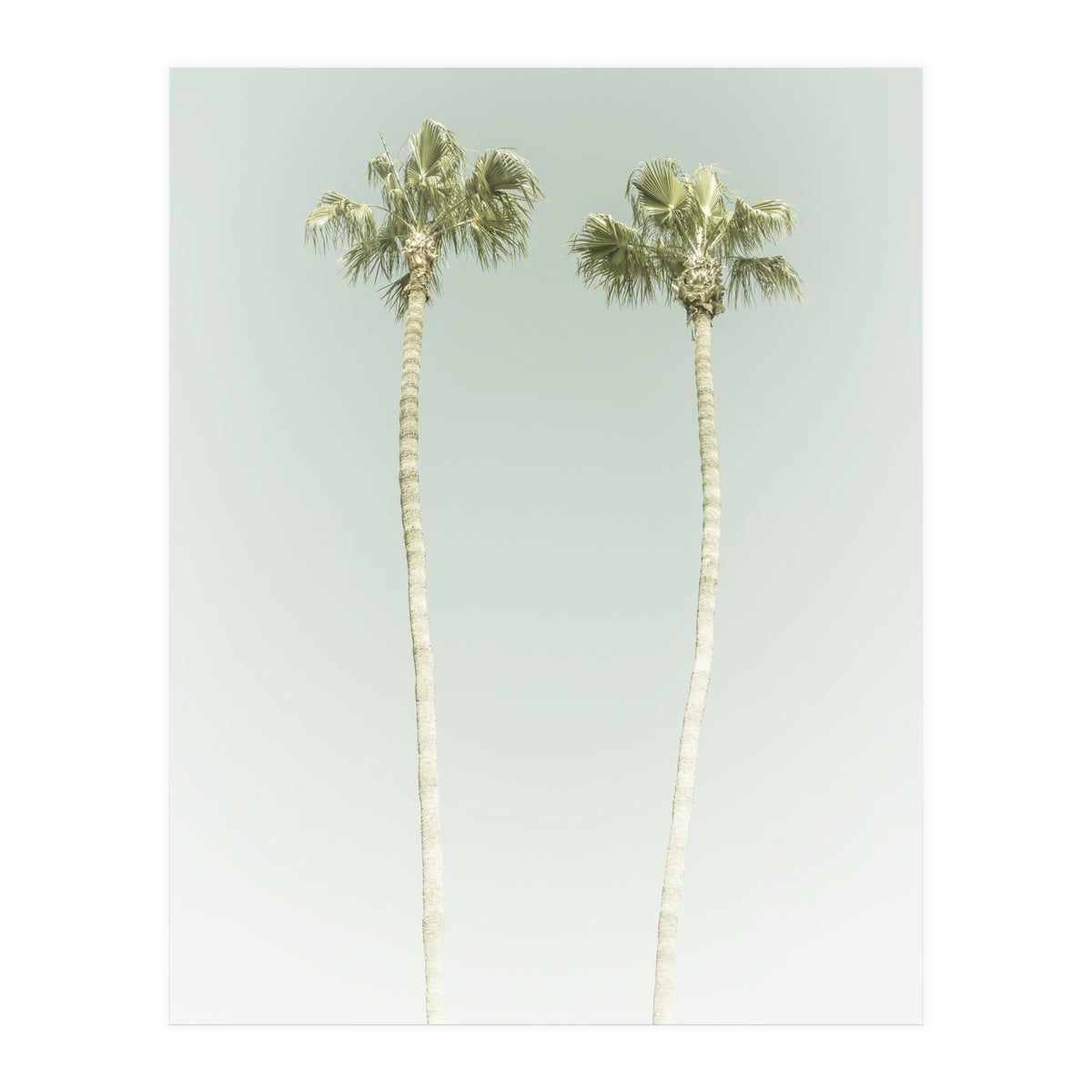 Vintage Palm Trees  (Print Only)