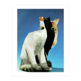 KatzenJammer 13 (Print Only) thumbnail
