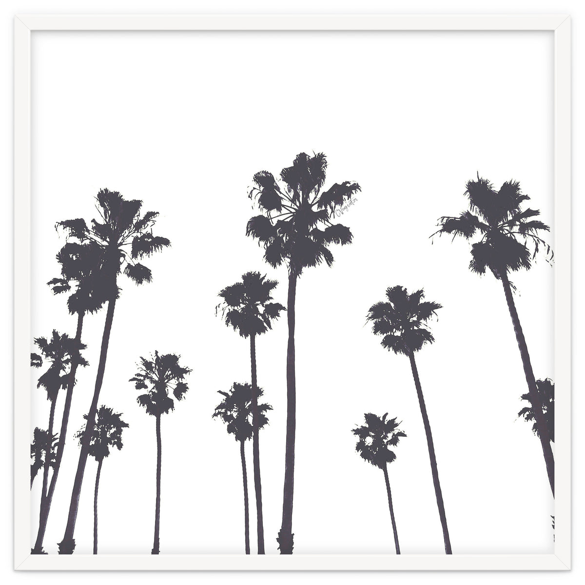 Palms & Sunset-Minimal B&W