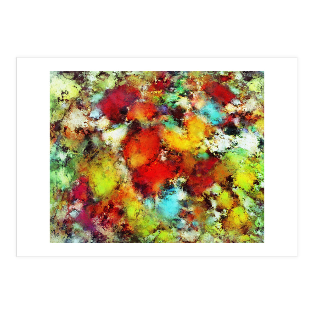 Expansion (Print Only)