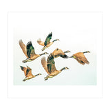 Fly Away Ii (Print Only) thumbnail