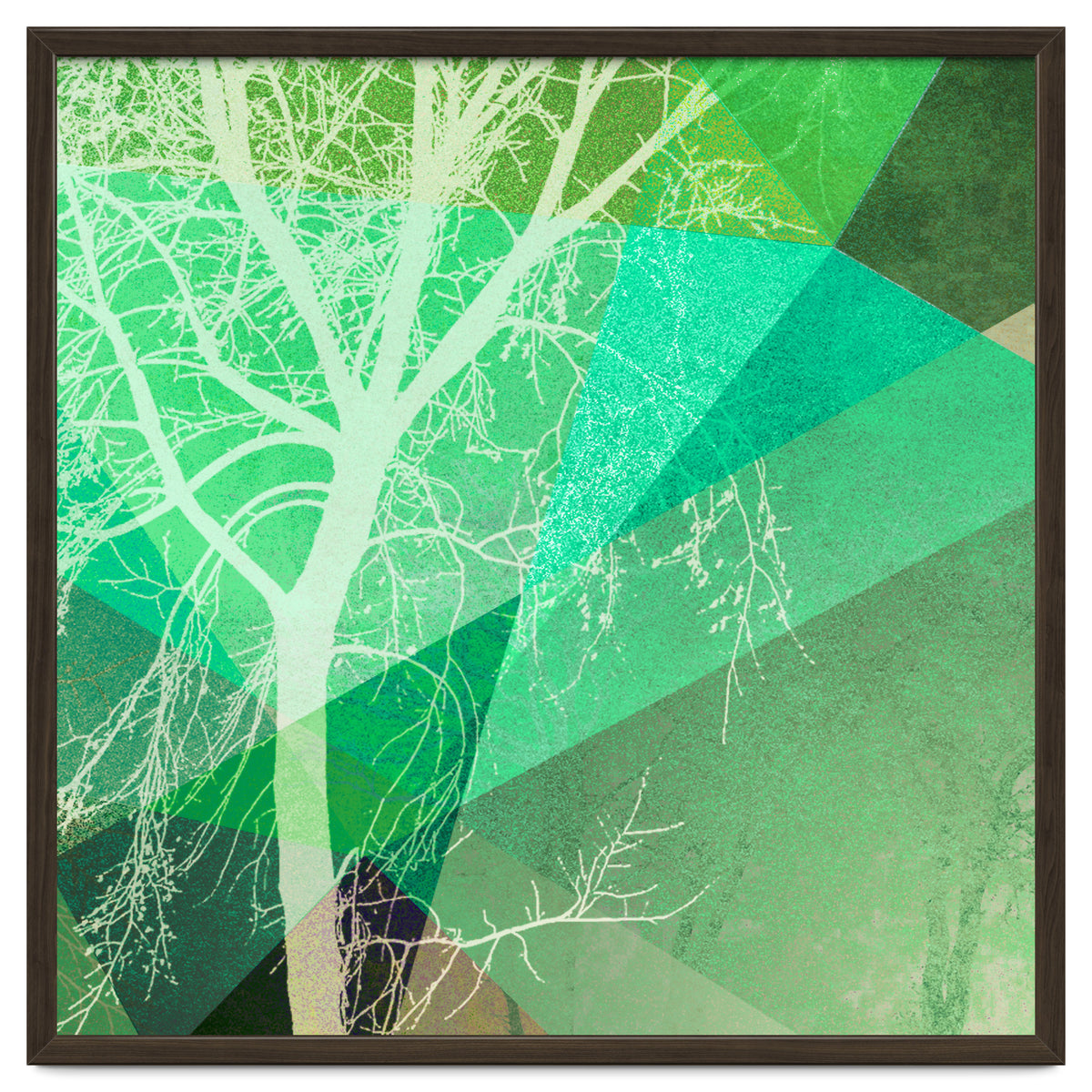 P22-B3 Trees And Triangles