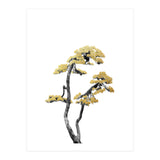 Bonsai Tree 06 (Print Only) thumbnail