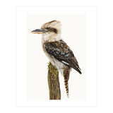 Cc Birds 08 (Print Only) thumbnail