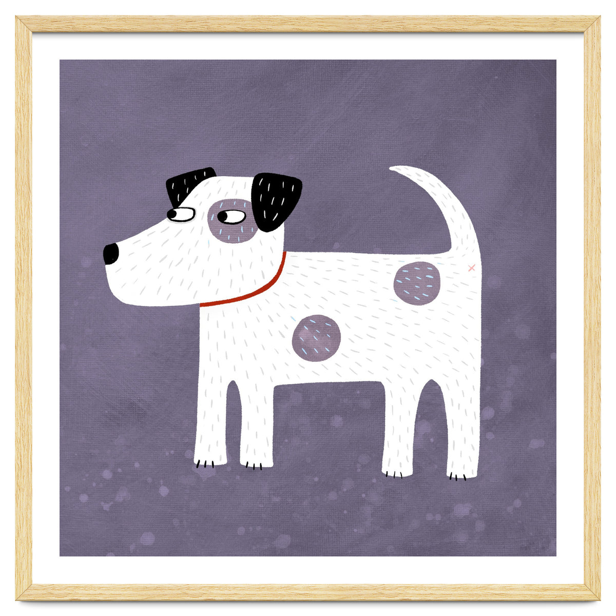 Jack Russell Terrier