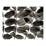 Branches and Leaves I (Print Only) thumbnail