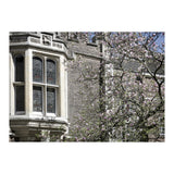 Inner Temple Gardens (Print Only) thumbnail