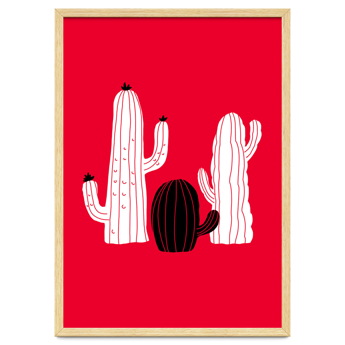 Cactus