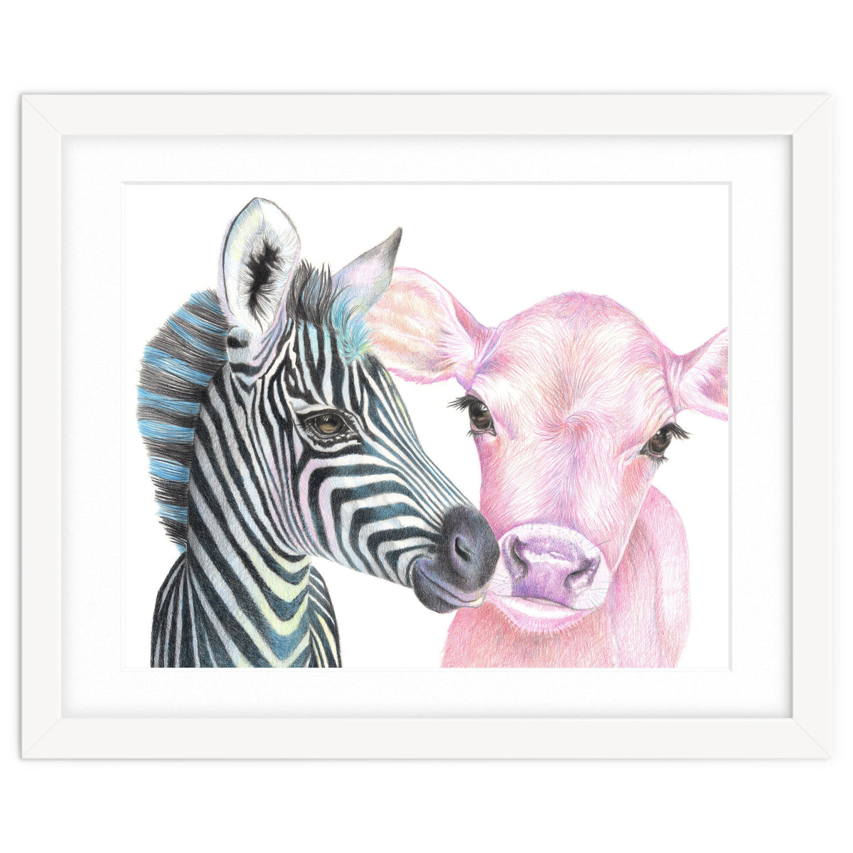 Zebra and Cow