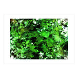 Green Deflected (Print Only) thumbnail