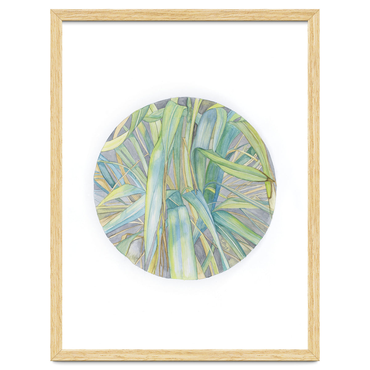 Grasses In The Late Summer Light