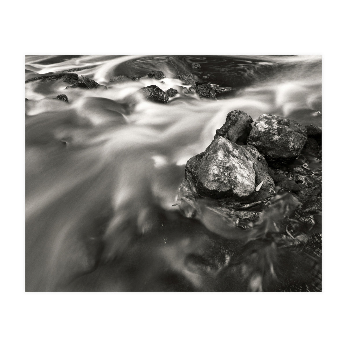 The Stream (Print Only)