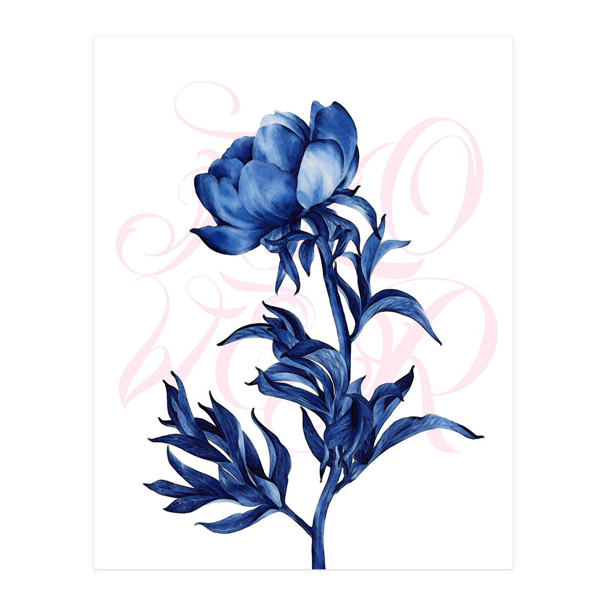 rosa blu (Print Only)