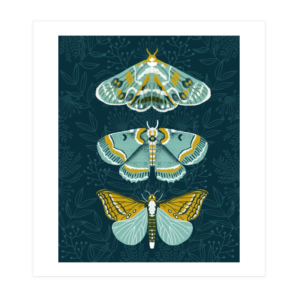 Lepidoptery8 (Print Only)