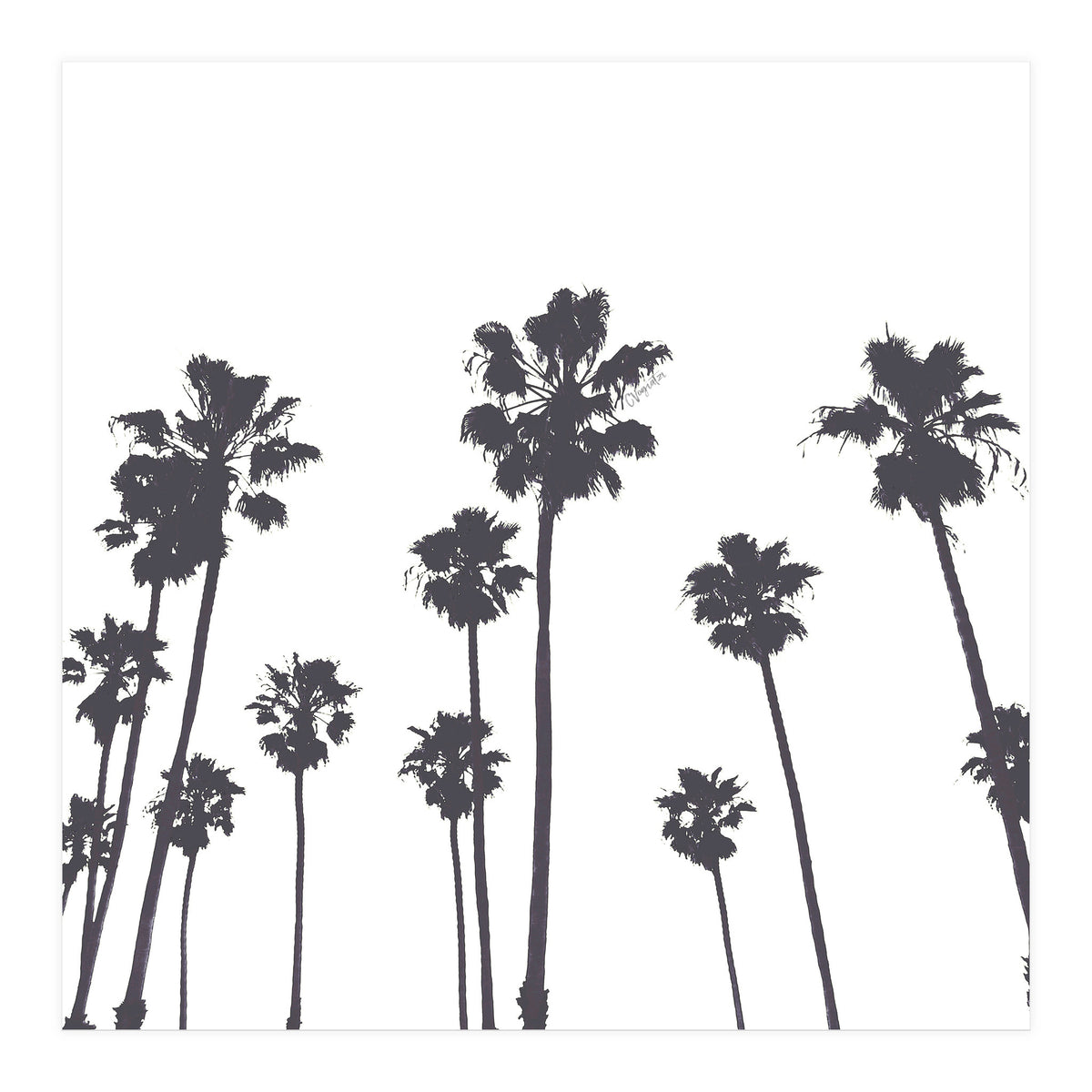 Palms & Sunset-Minimal B&W (Print Only)