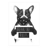 Rebel Dog (Print Only) thumbnail